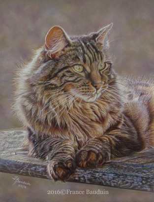 Late Afternoon Watch - 45 hours
Brown Pastelmat
16" x 12.5"
Editor's Choice Colored Pencil
Magazine competition 2019
Honorable Mention CPSA 2016
Best Domestic Animal UKCPS 2016 Late Afternoon Watch - 45 hours
Brown Pastelmat
16" x 12.5"
Editor's Choice Colored Pencil
Magazine competition 2019
Honorable Mention CPSA 2016
Best Domestic Animal UKCPS 2016